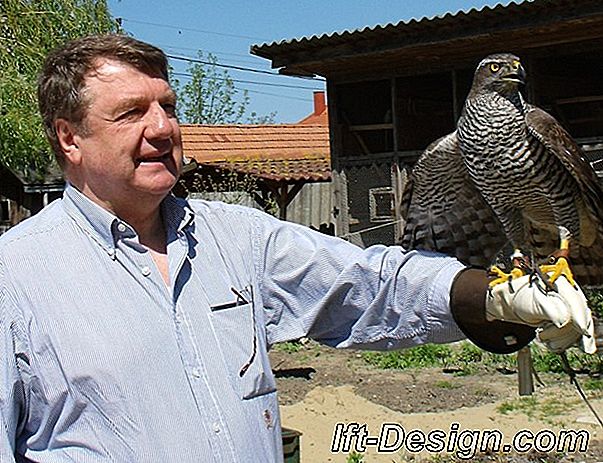 A mesterséges szőrme visszatért a házba