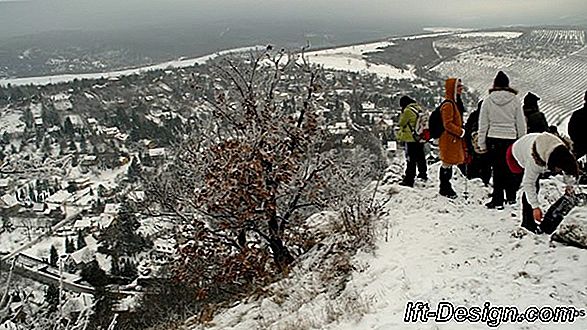 A játékos dekorációval a ház mosolyog