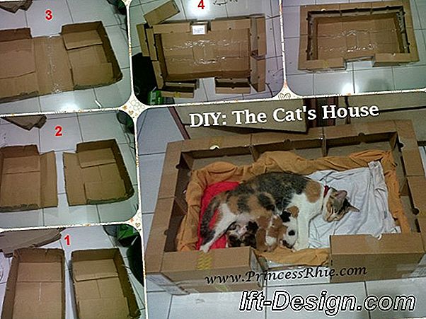 Tuto: rumah kardus untuk kucing Anda
