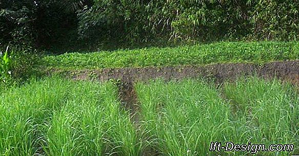 Bagaimana cara menghitung jumlah gulungan permadani yang saya butuhkan?