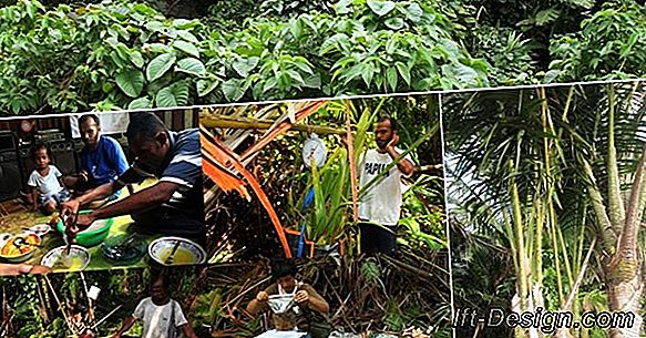 Keanekaragaman hayati: kesalahan yang harus dihindari di kebun