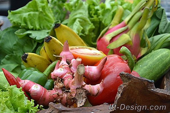 Hal-hal penting untuk membangun kebun sayur di balkonnya