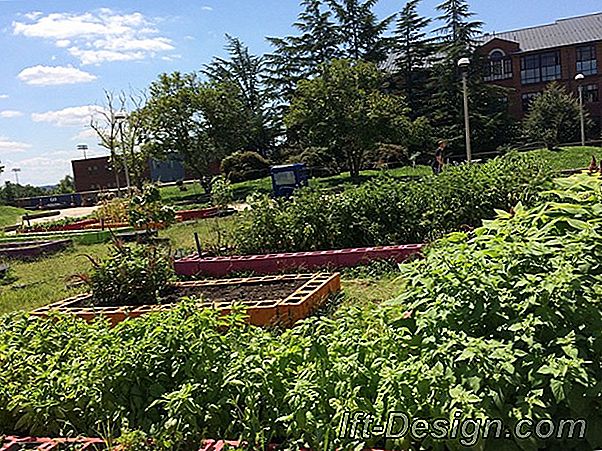 „Gally Gardens“ paaiškina „miesto gamtą“