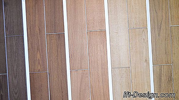 Quale parquet scegliere per il suo bagno?