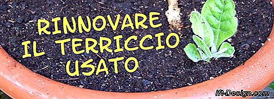 Passo dopo passo: fai un promemoria per il giardino