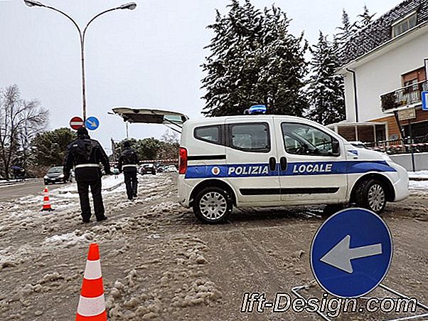 Video: taglio di una pianta da interno