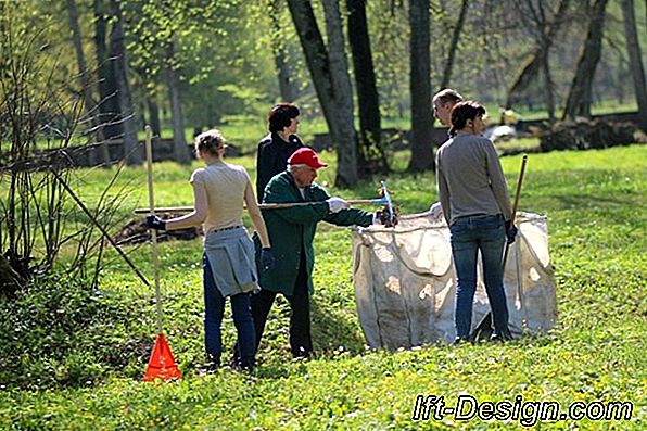 Vaizdo įrašas: padarykite kartono pieštuką