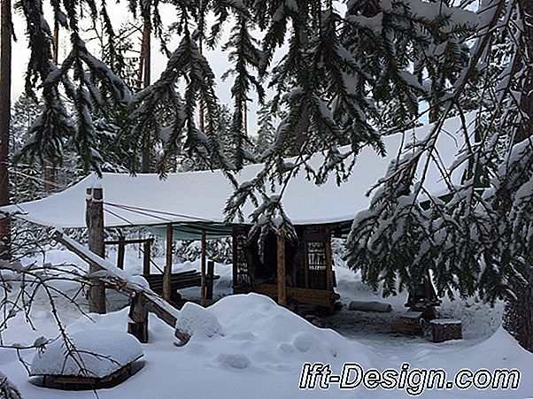 Ziemas iedvesmas zaļā viesistaba