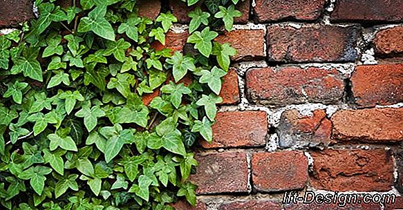 Hoe de geur van cement uit stenen muren te verwijderen?