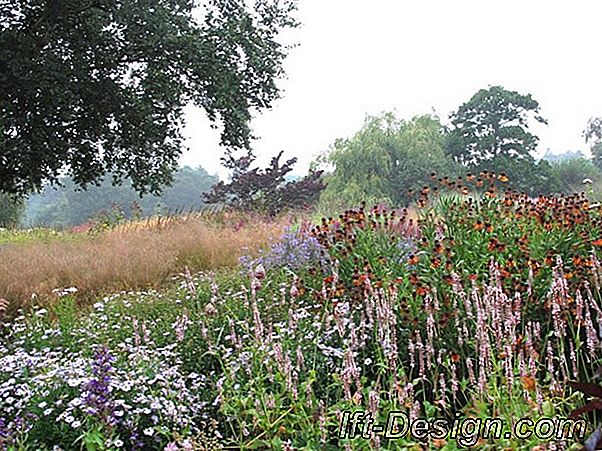 Ideeën om uw tuin op een ecologische manier te verlichten