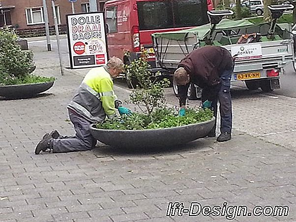 7 Plantenbakken die alleen voor zichzelf zorgen