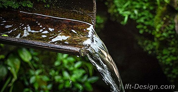 Een droge tuin: voor een tuin zonder water