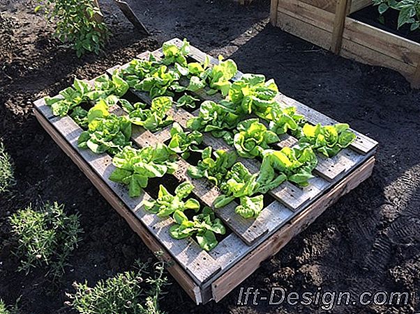 Video: maak een moestuin in uw tuin