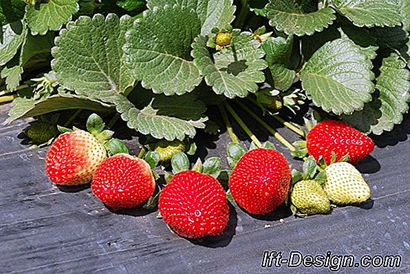 4 Dicas de limpeza para o seu terraço de pedra