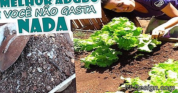 Eu testei para você: a horta vertical na Botanic