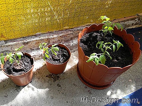 Tot pe balcon: iluminați ferestrele!