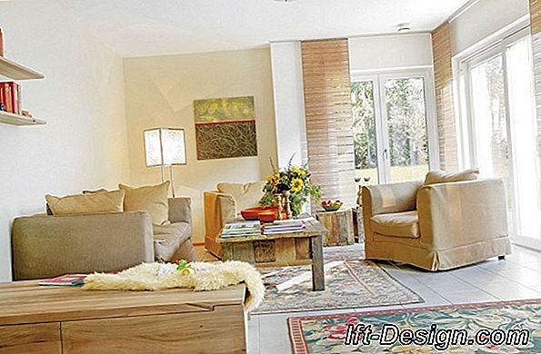 Care culoare canapea se alege cu mobilier din wenge și un zid taupe?