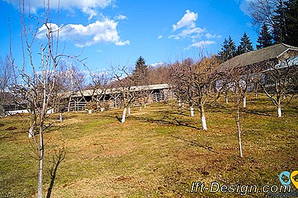 Un spa gonflabil și portabil la domiciliu