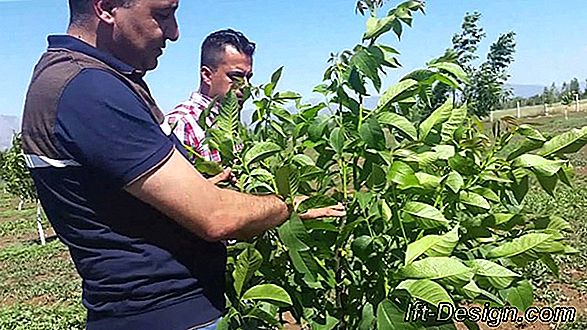 Hangi resimler seçilecek?