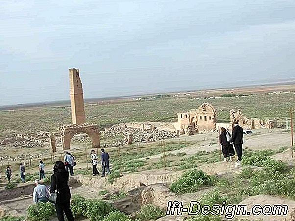 Mantar fotoğraf sahipleri oluşturun