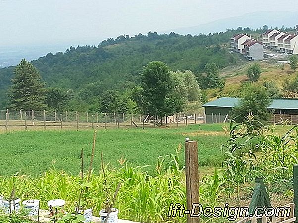 Tatil evi ruhu için donanma ilhamı