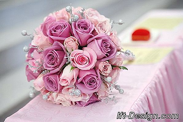 Tôi muốn hoa màu hồng trên ban công của tôi!