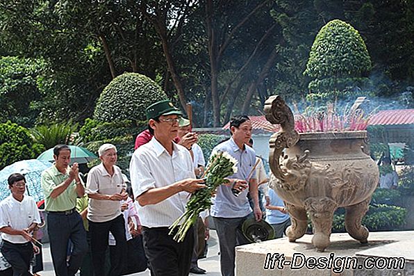 Tử vi trang trí: hương vị du lịch cho Bảo Bình