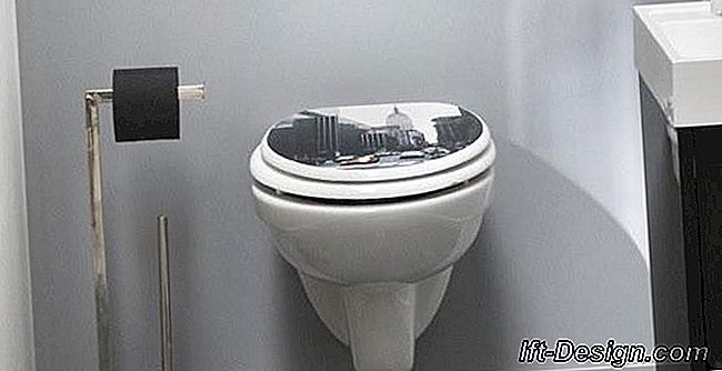 Válvulas de toalete WC divertidas para um banheiro chique