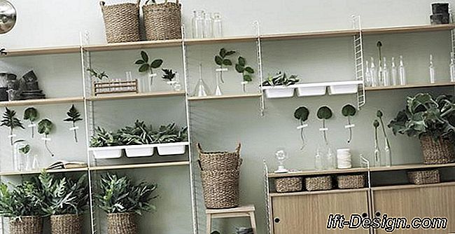 As tendências do 10 deco 2019 de acordo com o Pinterest